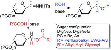 Graphical abstract: Coupling of anhydro-aldose tosylhydrazones with hydroxy compounds and carboxylic acids: a new route for the synthesis of C-β-d-glycopyranosylmethyl ethers and esters