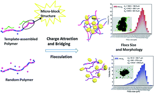 Graphical abstract: Formation of cationic hydrophobic micro-blocks in P(AM-DMC) by template assembly: characterization and application in sludge dewatering