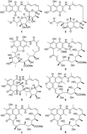 Graphical abstract: Ansavaricins A–E: five new streptovaricin derivatives from Streptomyces sp. S012