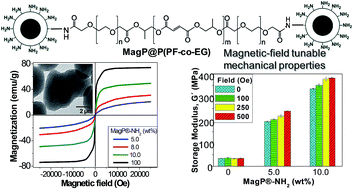 Graphical abstract: Magnetic Fe3O4@poly(propylene fumarate-co-ethylene glycol) core–shell biomaterials