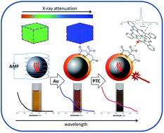 Graphical abstract: Maghemite–gold core–shell nanostructures (γ-Fe2O3@Au) surface-functionalized with aluminium phthalocyanine for multi-task imaging and therapy