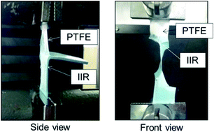 Graphical abstract: Adhesive-free adhesion between polytetrafluoroethylene (PTFE) and isobutylene–isoprene rubber (IIR) via heat-assisted plasma treatment