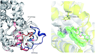 Graphical abstract: The molecular mechanism of hPPARα activation