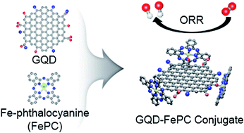 Graphical abstract: A graphene quantum dot/phthalocyanine conjugate: a synergistic catalyst for the oxygen reduction reaction