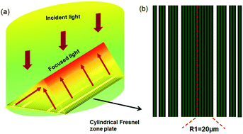 Graphical abstract: Graphene nanoribbon based plasmonic Fresnel zone plate lenses