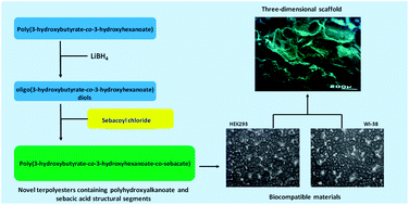 Graphical abstract: Biocompatible terpolyesters containing polyhydroxyalkanoate and sebacic acid structural segments – synthesis and characterization