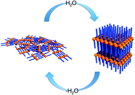 Graphical abstract: In-plane oriented highly ordered lamellar structure formation of poly(N-dodecylacrylamide) induced by humid annealing
