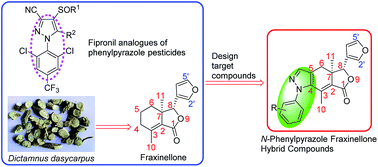 Graphical abstract: Design, synthesis, antibacterial and insecticidal activities of novel N-phenylpyrazole fraxinellone hybrid compounds