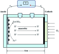 Graphical abstract: Synchronous recovery of iron and electricity using a single chamber air-cathode microbial fuel cell