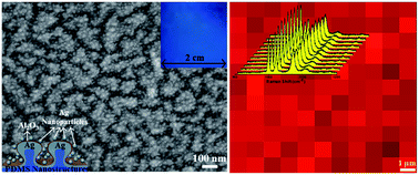 Graphical abstract: 3D multilayered plasmonic nanostructures with high areal density for SERS
