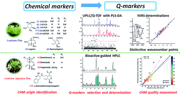 Graphical abstract: From chemical markers to quality markers: an integrated approach of UPLC/Q-TOF, NIRS, and chemometrics for the quality assessment of honeysuckle buds