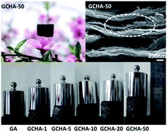 Graphical abstract: Graphene/cellulose nanocrystals hybrid aerogel with tunable mechanical strength and hydrophilicity fabricated by ambient pressure drying technique