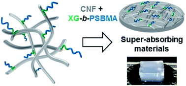 Graphical abstract: Biomimetic adsorption of zwitterionic–xyloglucan block copolymers to CNF: towards tailored super-absorbing cellulose materials