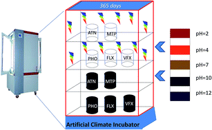 Graphical abstract: The degradation and persistence of five pharmaceuticals in an artificial climate incubator during a one year period