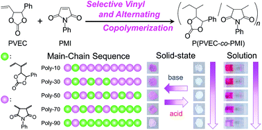 Graphical abstract: Color change of alternating copolymers with phenyl vinylethylene carbonate and N-phenylmaleimide in a solution and in the solid-state, depending on their structure
