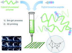Graphical abstract: Modular bioink for 3D printing of biocompatible hydrogels: sol–gel polymerization of hybrid peptides and polymers