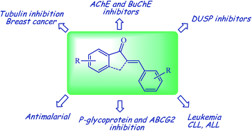 Graphical abstract: Arylidene indanone scaffold: medicinal chemistry and structure–activity relationship view