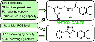 Graphical abstract: Synthesis and antioxidant activity of 1,3,4-oxadiazoles and their diacylhydrazine precursors derived from phenolic acids