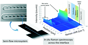 Graphical abstract: Microfluidics with in situ Raman spectroscopy for the characterization of non-polar/aqueous interfaces