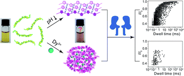 Graphical abstract: Revealing different aggregational states of a conjugated polymer in solution by a nanopore sensor