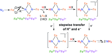 Graphical abstract: Stepwise N–H bond formation from N2-derived iron nitride, imide and amide intermediates to ammonia