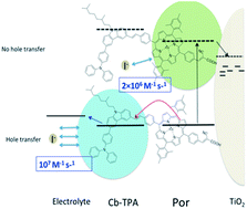 Graphical abstract: Enhancement of dye regeneration kinetics in dichromophoric porphyrin–carbazole triphenylamine dyes influenced by more exposed radical cation orbitals