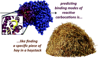 Graphical abstract: Mechanistically informed predictions of binding modes for carbocation intermediates of a sesquiterpene synthase reaction