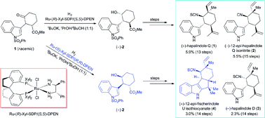 Graphical abstract: Divergent enantioselective synthesis of hapalindole-type alkaloids using catalytic asymmetric hydrogenation of a ketone to construct the chiral core structure