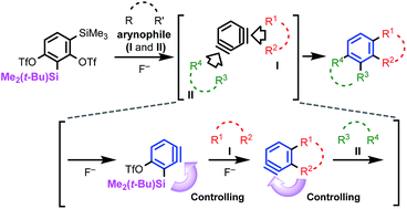Graphical abstract: 1,3- and 1,4-Benzdiyne equivalents for regioselective synthesis of polycyclic heterocycles