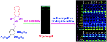Graphical abstract: Rationally introduce multi-competitive binding interactions in supramolecular gels: a simple and efficient approach to develop multi-analyte sensor array