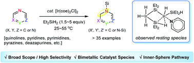 Graphical abstract: Iridium-catalyzed selective 1,2-hydrosilylation of N-heterocycles