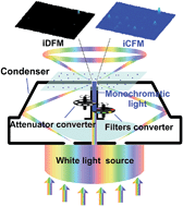 Graphical abstract: Plasmon-induced light concentration enhanced imaging visibility as observed by a composite-field microscopy imaging system