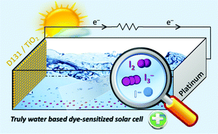 Graphical abstract: Unveiling iodine-based electrolytes chemistry in aqueous dye-sensitized solar cells