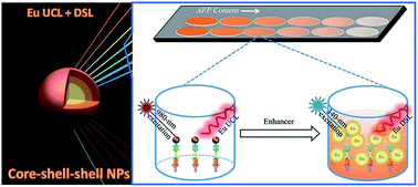 Graphical abstract: In vitro upconverting/downshifting luminescent detection of tumor markers based on Eu3+-activated core–shell–shell lanthanide nanoprobes