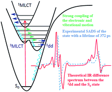 Graphical abstract: Ultrafast transient IR spectroscopy and DFT calculations of ruthenium(ii) polypyridyl complexes