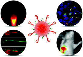Graphical abstract: Multilayered semiconducting polymer nanoparticles with enhanced NIR fluorescence for molecular imaging in cells, zebrafish and mice