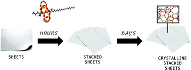 Graphical abstract: Establishing hierarchy: the chain of events leading to the formation of silicalite-1 nanosheets