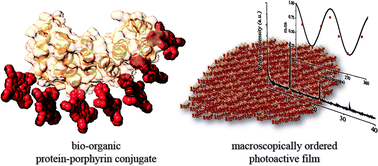 Graphical abstract: Repeat protein scaffolds: ordering photo- and electroactive molecules in solution and solid state