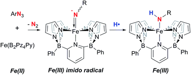 Graphical abstract: Facile hydrogen atom transfer to iron(iii) imido radical complexes supported by a dianionic pentadentate ligand