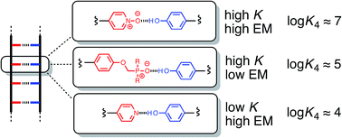 Graphical abstract: Mix and match recognition modules for the formation of H-bonded duplexes