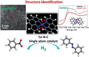Graphical abstract: Single-atom dispersed Co–N–C catalyst: structure identification and performance for hydrogenative coupling of nitroarenes