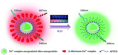 Graphical abstract: Dual-emissive nanoarchitecture of lanthanide-complex-modified silica particles for in vivo ratiometric time-gated luminescence imaging of hypochlorous acid