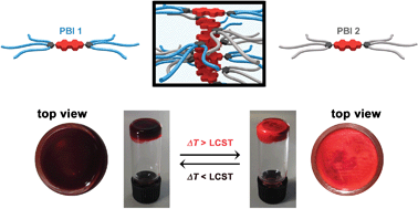 Graphical abstract: Perylene bisimide hydrogels and lyotropic liquid crystals with temperature-responsive color change