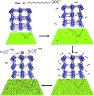 Graphical abstract: Competitive coordination strategy for the synthesis of hierarchical-pore metal–organic framework nanostructures