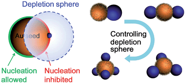 Graphical abstract: Depletion sphere: Explaining the number of Ag islands on Au nanoparticles