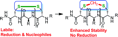 Graphical abstract: Converting disulfide bridges in native peptides to stable methylene thioacetals