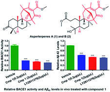 Graphical abstract: Asperterpenes A and B, two unprecedented meroterpenoids from Aspergillus terreus with BACE1 inhibitory activities