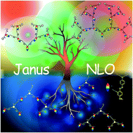Graphical abstract: Janus second-order nonlinear optical dendrimers: their controllable molecular topology and corresponding largely enhanced performance