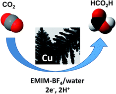 Graphical abstract: Porous dendritic copper: an electrocatalyst for highly selective CO2 reduction to formate in water/ionic liquid electrolyte
