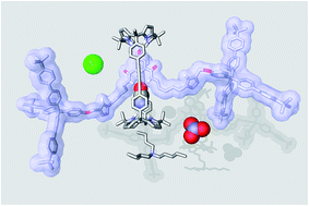 Graphical abstract: Ion-pair recognition by a neutral [2]rotaxane based on a bis-calix[4]pyrrole cyclic component